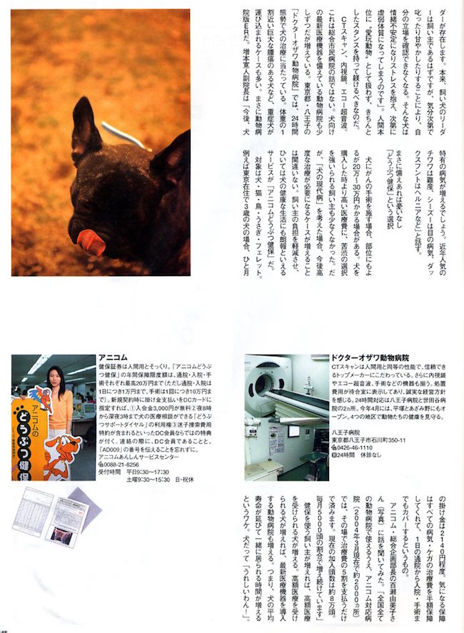 記事掲載